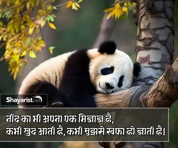 Neend Shayari Funny