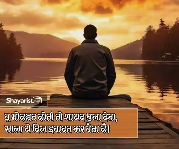 Sad Shayari Love