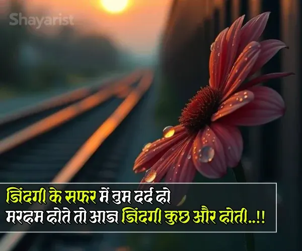 2 Line Shayari, Life