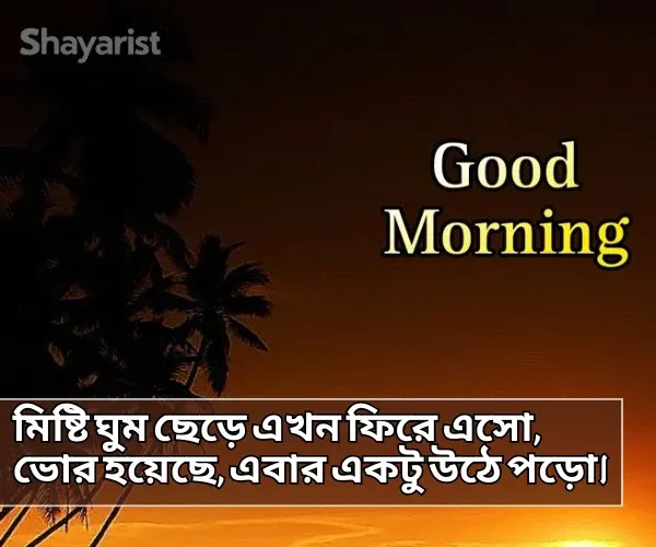 Good Morning Shayari Bengali