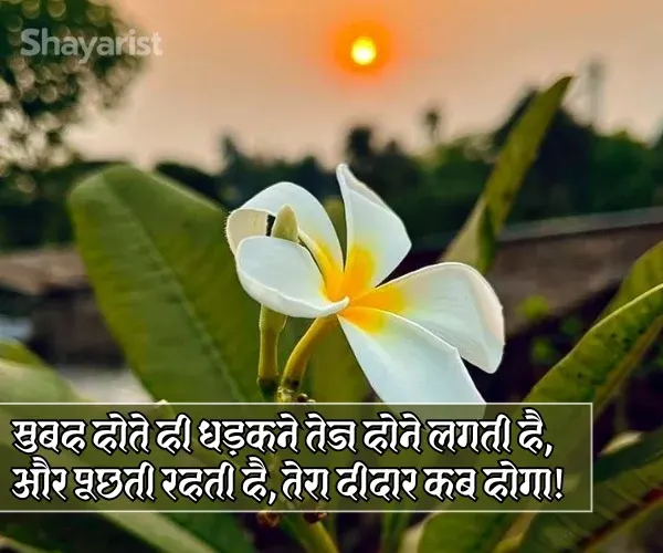 Good Morning Shayari for Gf