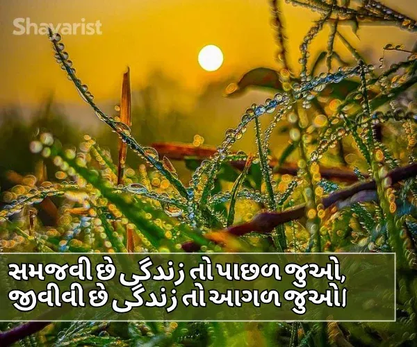 Good Morning Shayari Gujarati