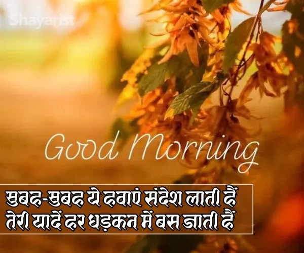 Good Morning Shayari Love
