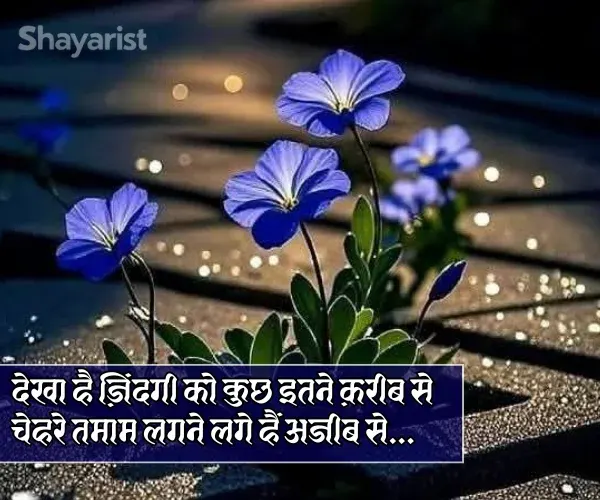 Zindagi 2 Line Shayari