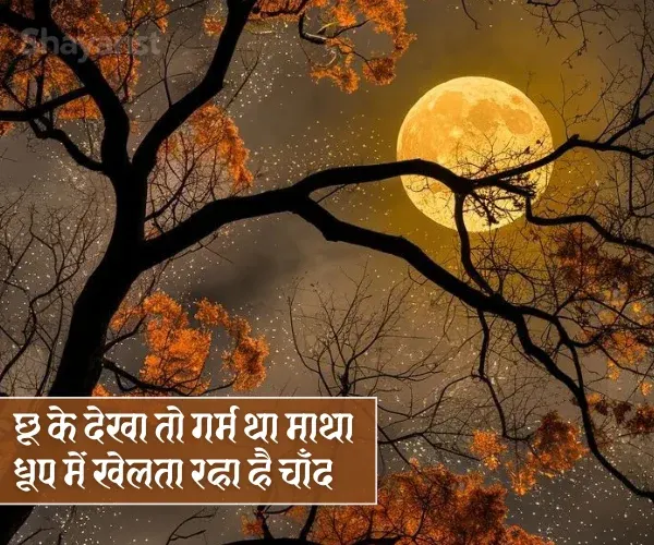 Chand Shayari Gulzar Chand Shayari Gulzar