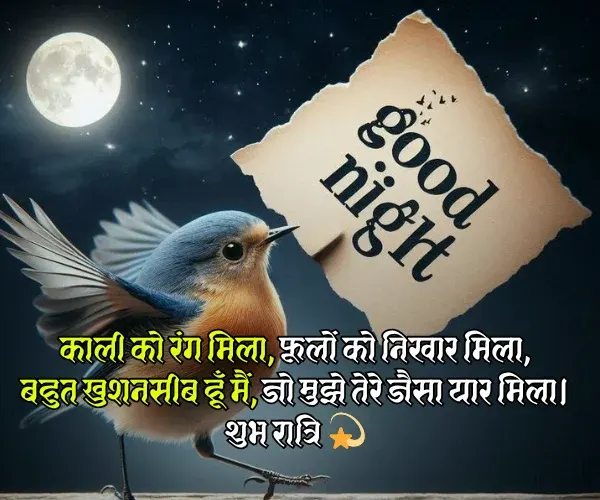 Friends Good Night Shayari Friends Good Night Shayari