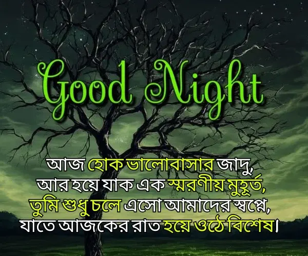 Good Night Shayari Bangla Good Night Shayari Bangla