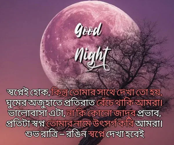 Good Night Shayari Bangla Good Night Shayari Bangla