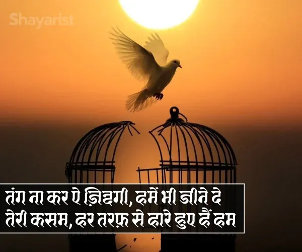 Life Emotional Shayari Life Emotional Shayari