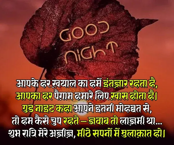 Love Boyfriend Good Night Shayari Love Boyfriend Good Night Shayari
