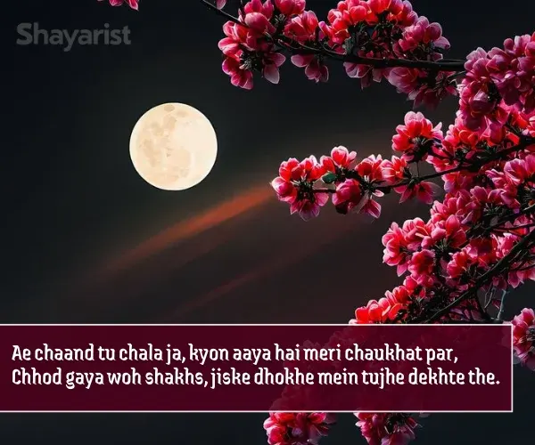 Moon Shayari in English Moon Shayari in English