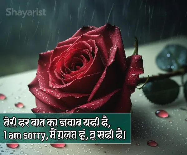 Sorry Shayari